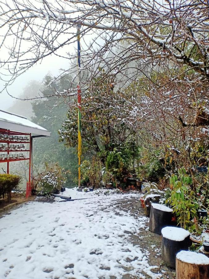 Hermit Retreat Darjeeling  Buitenkant foto